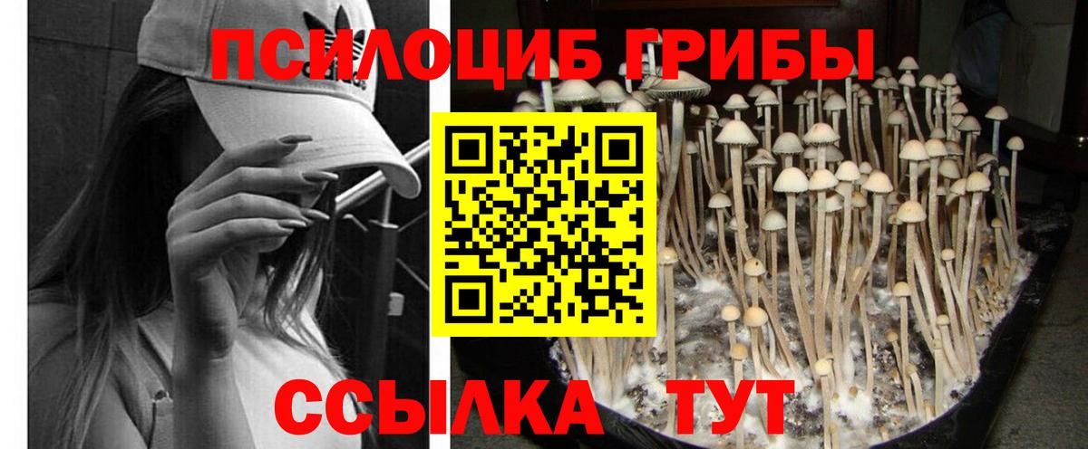 Октябрьский  Псилоцибиновые грибы Magic Shrooms  Псилоцибиновые грибы мицелий  где купить наркоту  Вход с VPN 