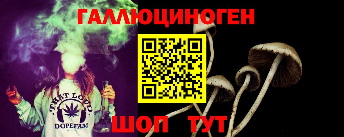 Галлюциногенные грибы GOLDEN TEACHER Октябрьский